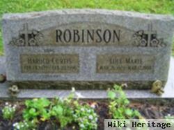 Lois Marie Platz Robinson