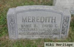 David Carlton Meredith