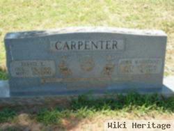 Fannie E Carpenter