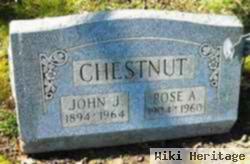 John J Chestnut