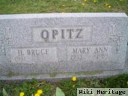 Mary Ann Opitz