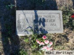 Theresa Mary Hilkemeyer