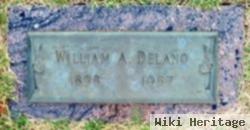 William Aver Wilson Delano