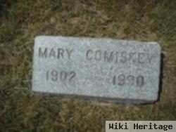 Mary Comiskey