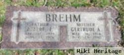 Gertrude Anna Obenberger Brehm