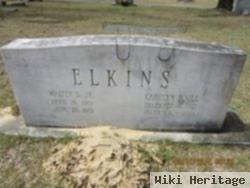 Carolyn Fogle Elkins