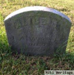 Alice J. Whipple