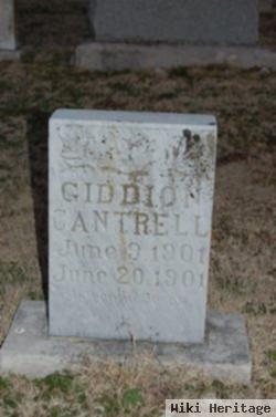 Giddion Cantrell