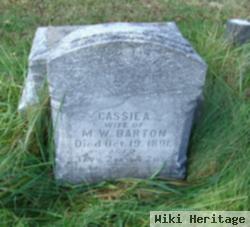 Cassie A. Johnson Barton