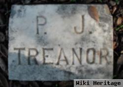 Peter J Treanor