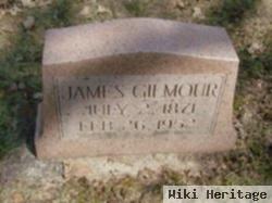 James Gilmour Roberton