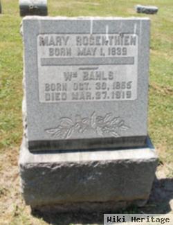 Mary Krieger Rogenthien