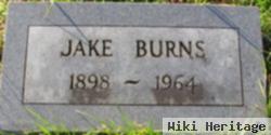 Jake Burns