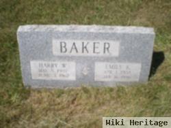 Emily K. Young Baker