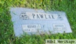 Henry Pawlak