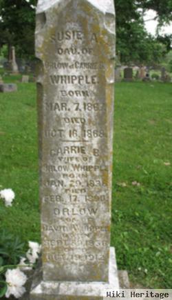 Orlow Whipple