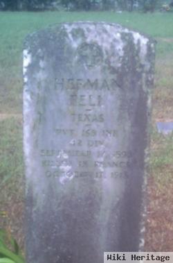 Herman Fell