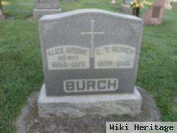 Alice Boone Burch