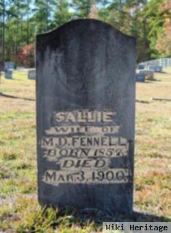 Sarah Elizabeth "sallie" Johnson Fennell