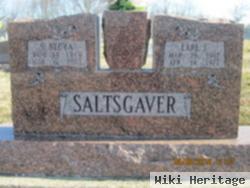 Earl J. Saltsgaver
