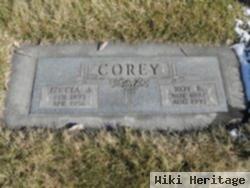 Roy E Corey