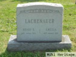 Amelia Lachenauer