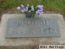 David P. Lingerfelt