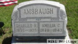 Amelia C Heideman Amsbaugh