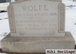 Harry H Wolfe