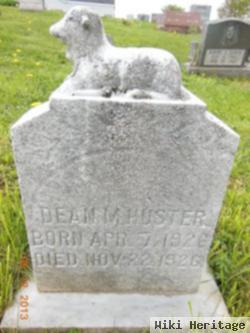 Dean M. Huster