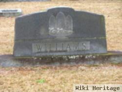 Daniel Webster Williams