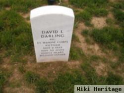 David L Darling