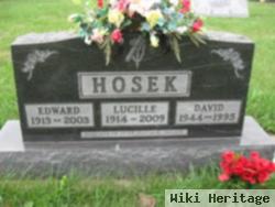 David Hosek