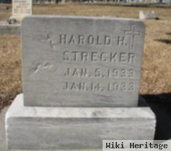 Harold H. Strecker