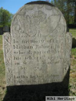 Nathan Palmer, Jr