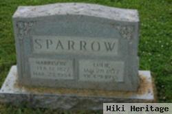 Harrison Sparrow