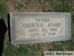 Ambrous Adams