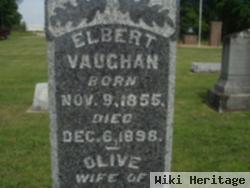 Elbert B. Vaughan