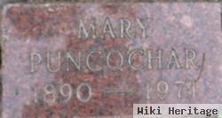 Mary Puncochar