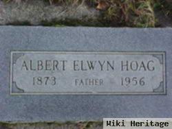 Albert Elwyn Hoag