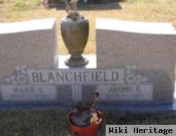 Archie E. Blanchfield