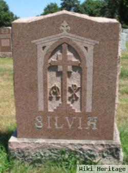 Paul Silvia