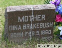 Dina Brakebush