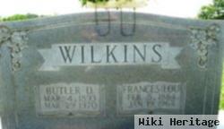 Frances Louisa "lou" Martin Wilkins