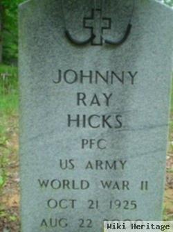 Johnny Ray Hicks