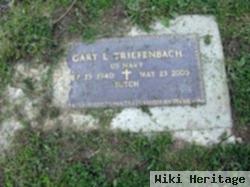 Gary L. Triefenbach