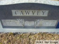 Serice Cobb Cawvey