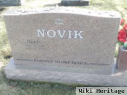 Borris Novik