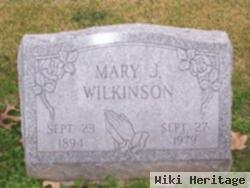 Mary J. Wilkinson