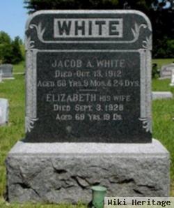 Jacob A White